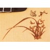 Concert ukulele Ortega RU5CE