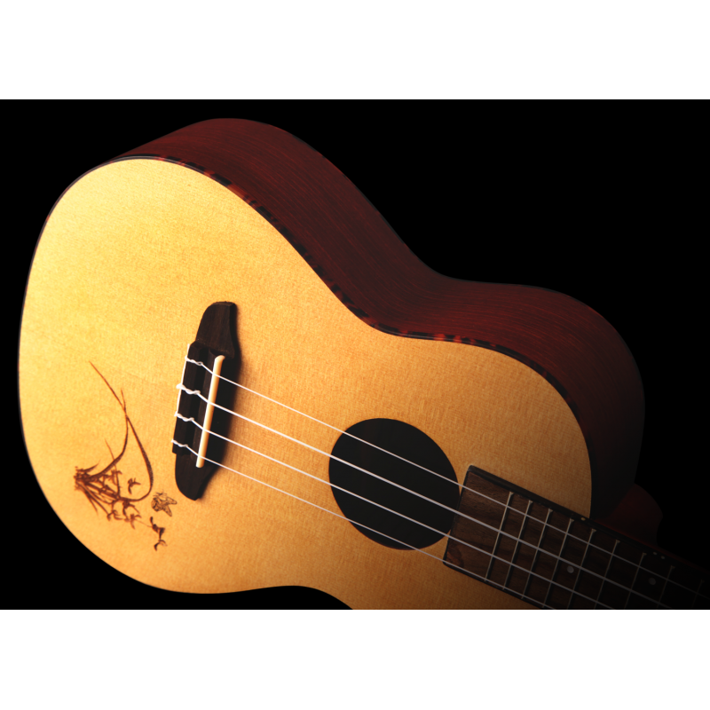 Kontsert ukulele Ortega RU5