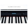 Digital Piano Classic UP-1 WM