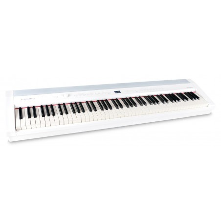 Digiklaver Steinmayer P-60 WM