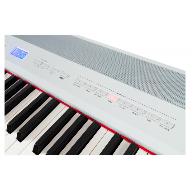 Digiklaver Steinmayer P-60 WM