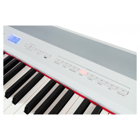 Digital Piano Steinmayer P-60 WM
