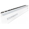 Digital Piano Steinmayer P-60 WM