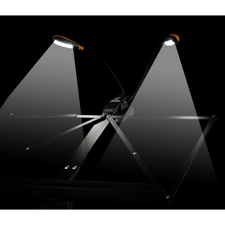 Music light Ortega OML-D