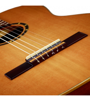 Electro acoustic classical guitar