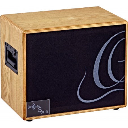 ORTEGA acoustic amplification S ONE