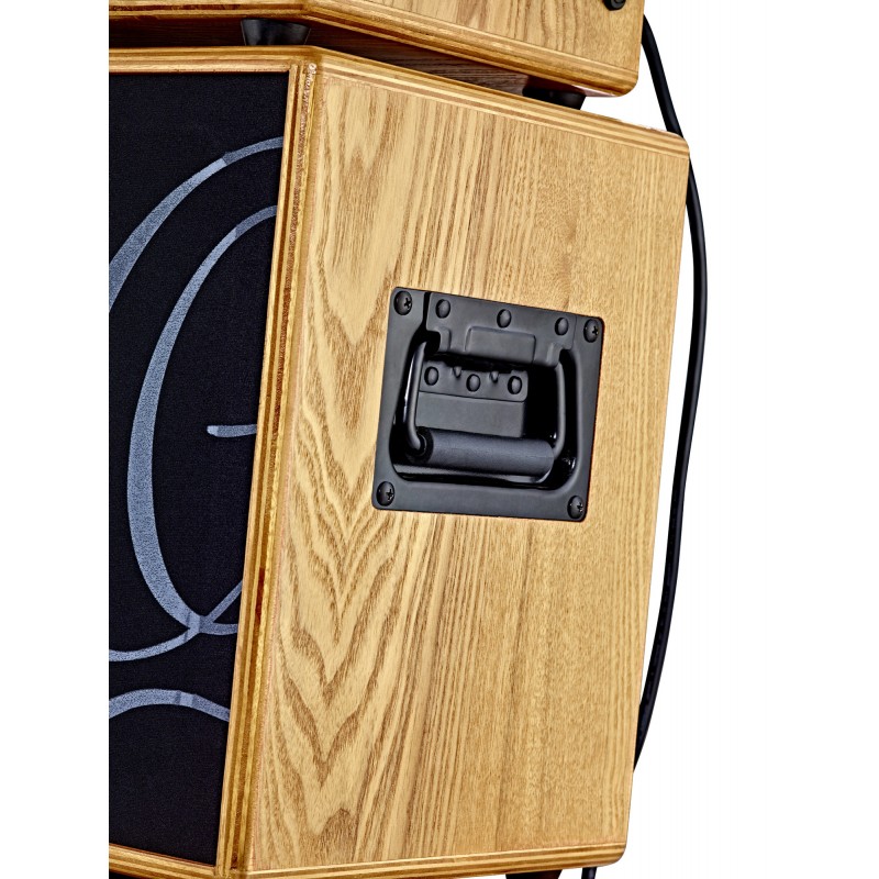 Ortega acoustic amplification S TWO