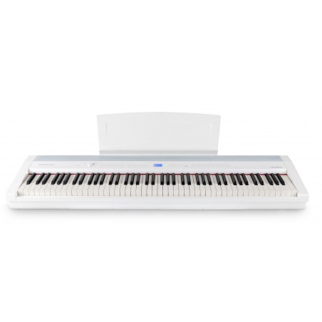 Digiklaver Steinmayer P-60 WM koos statiiviga