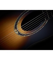 Electro acoustic guitar