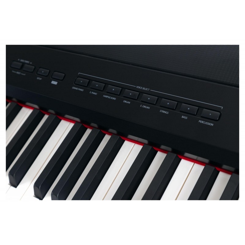 Digital Piano Steinmayer P-60 SM with stand