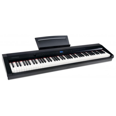 Digiklaver Steinmayer P-60 SM