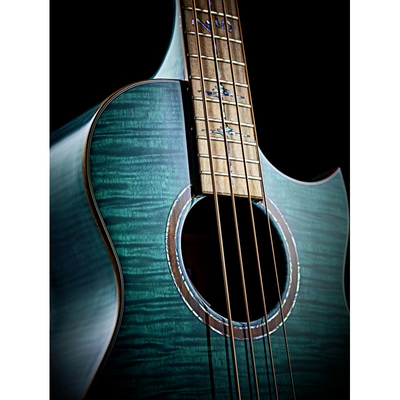Acoustic Bass Guitar ORTEGA WALKER-25TH