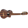 Elektroakustiline guitalele Ortega RGL5EB-CE