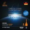 Klassikalise kitarri keeled Ortega ATB44NM (medium)