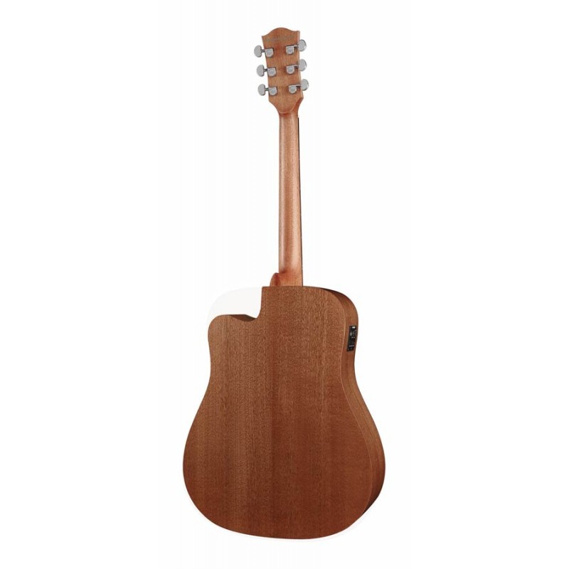 Richwood Acoustic guitar D-50-CE