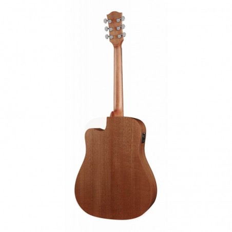 Richwood Acoustic guitar D-50-CE