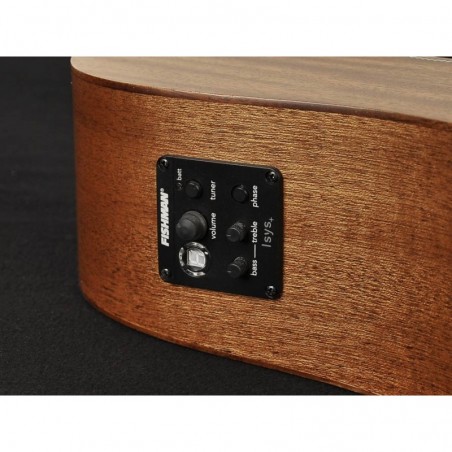 Richwood Acoustic guitar D-50-CE