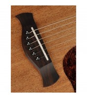 Richwood Acoustic guitar D-50-CE