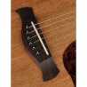 Richwood Acoustic guitar D-50-CE