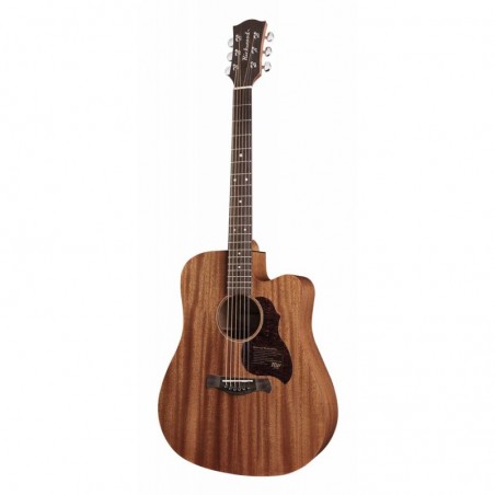Richwood Acoustic guitar D-50-CE