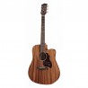 Richwood Acoustic guitar D-50-CE