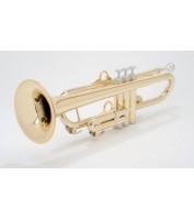 pTrumpet Trumpet hyTech