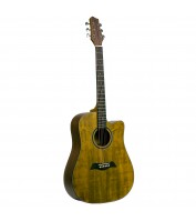 Condorwood AD-511 acoustic guitar
