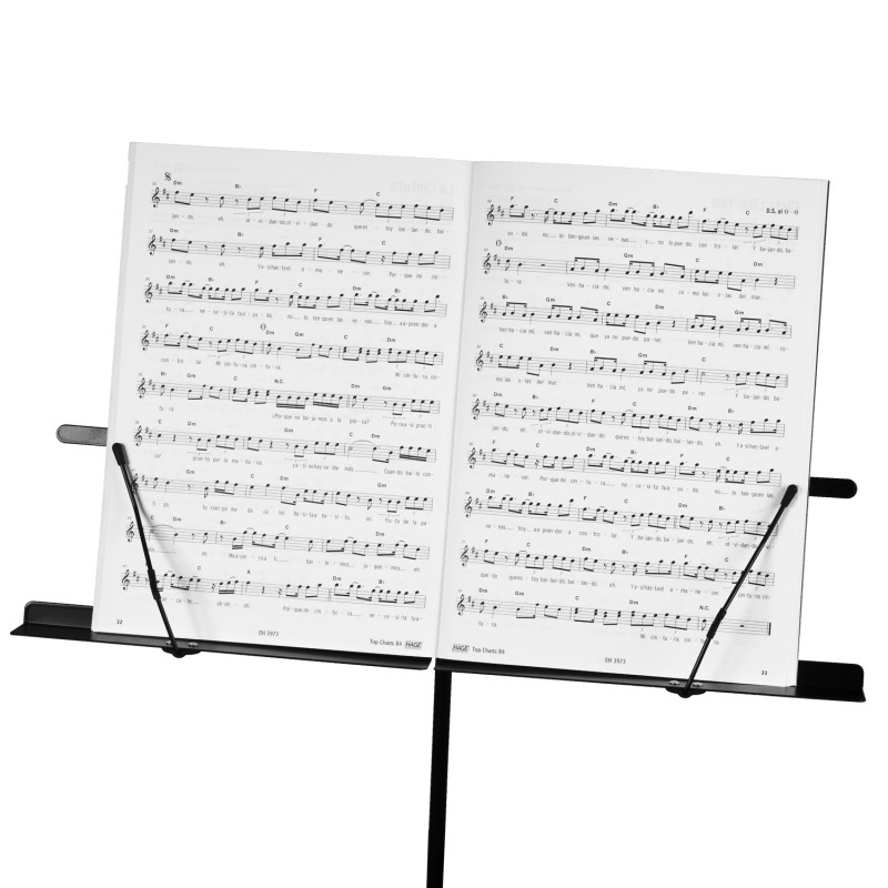 Music Stand Cascha HH 2067