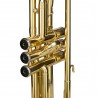 Cascha trumpet Trumpet Fox EH 3800