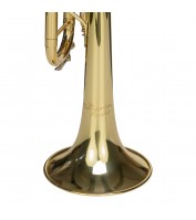Cascha trumpet Trumpet Fox EH 3800