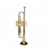 Cascha trumpet Trumpet Fox EH 3800