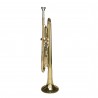 Cascha trumpet Trumpet Fox EH 3800