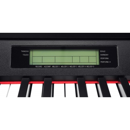 Digital Piano Classic DP-A 310 WM