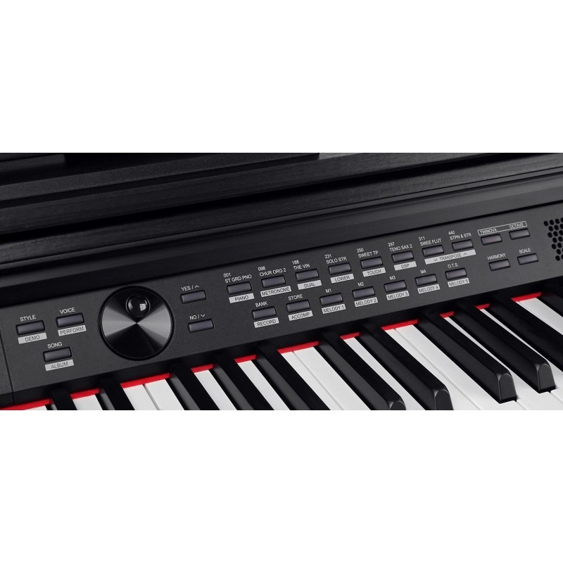 Digital Piano Classic DP-A 310 WM
