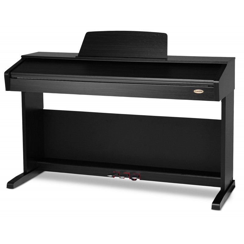 Digital Piano Classic DP-A 310 WM