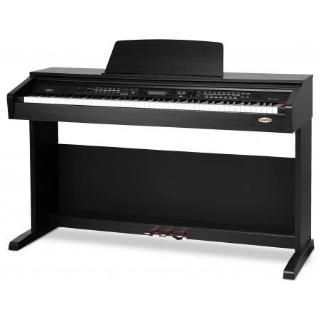 Digital Piano Classic DP-A 310 WM