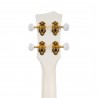 Cascha kontsert ukulele komplekt Carbon Fibre white