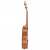 Concert Mahogany Ukulele Set Cascha HH 2151