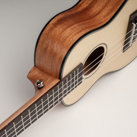 Concert Mahogany Ukulele Set Cascha HH 2151