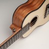 Concert Mahogany Ukulele Set Cascha HH 2151