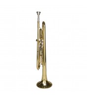 Trumpet Fox Beginner Set Cascha EH3820 EN