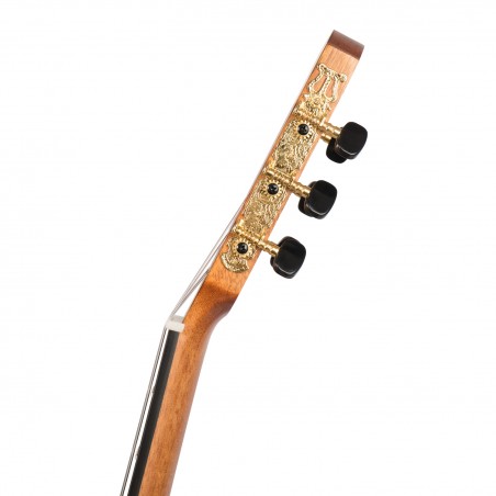 Stage Series Classical Guitar 4/4 Set Cascha HH 2078