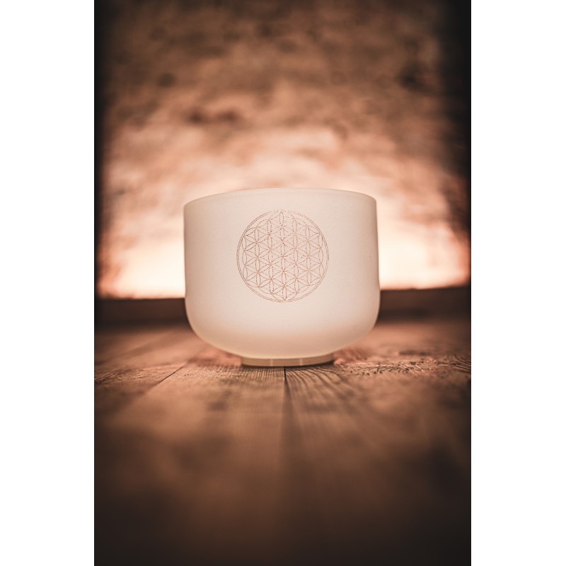 MEINL Sonic Energy Crystal Singing Bowl CSB8FOL