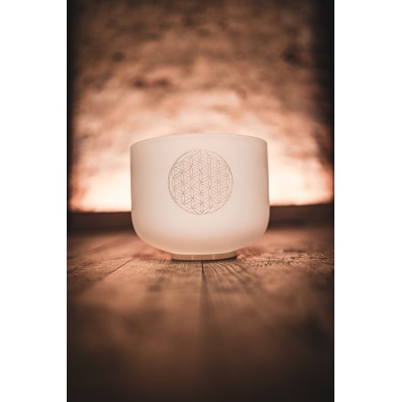 MEINL Sonic Energy Crystal Singing Bowl CSB8FOL