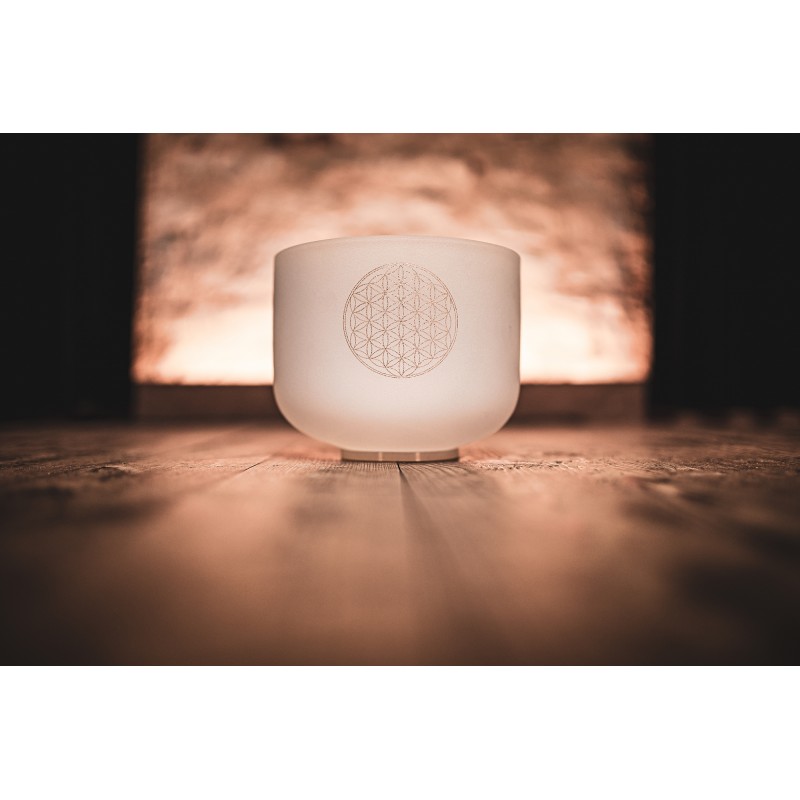 MEINL Sonic Energy Crystal Singing Bowl CSB8FOL