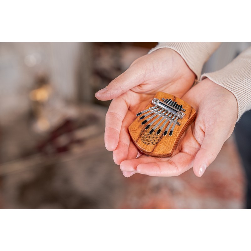 MEINL Sonic Energy mini kalimba KL802FOL