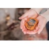 MEINL Sonic Energy mini kalimba KL802FOL