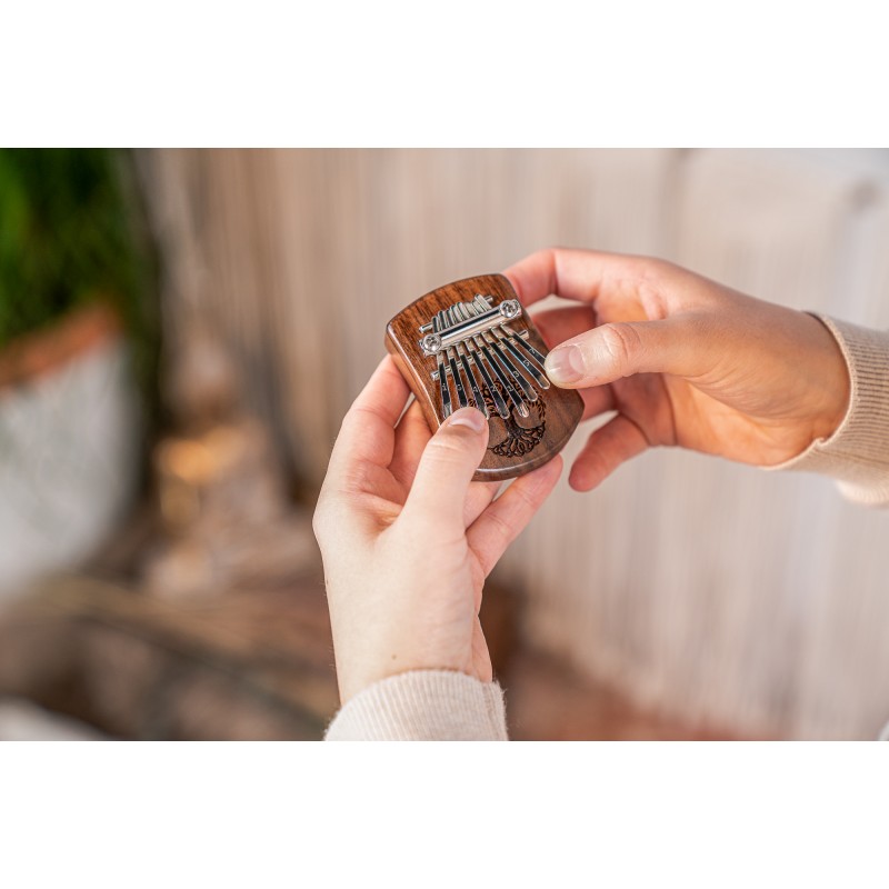 MEINL Sonic Energy mini kalimba KL801TOL