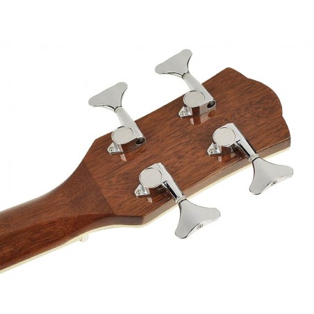 Akustiline basskitarr Richwood RB-102-CE