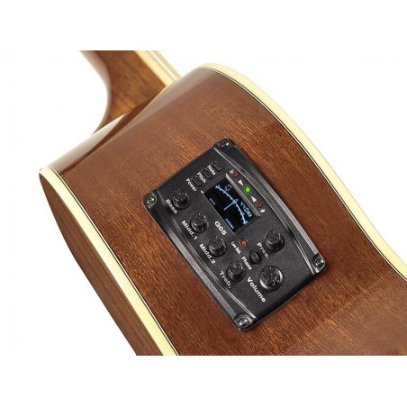 Akustiline basskitarr Richwood RB-102-CE